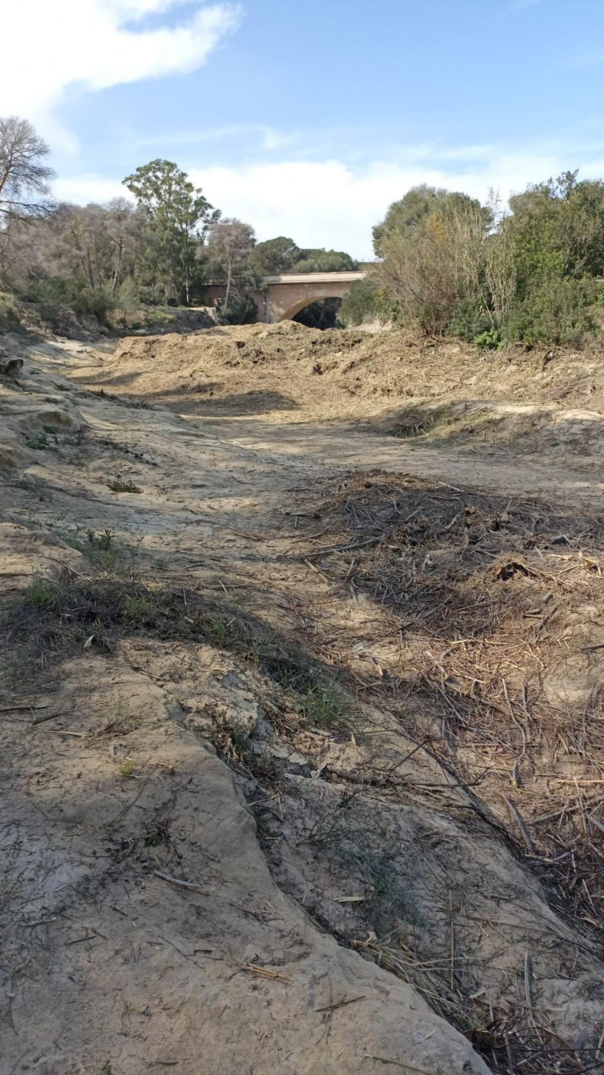 Estado del cauce en el entorno del puente