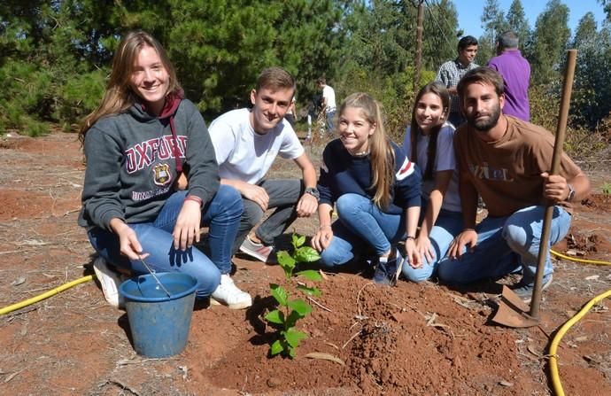 REPOBLACIÓN FORESTAL FONTANALES MOYA