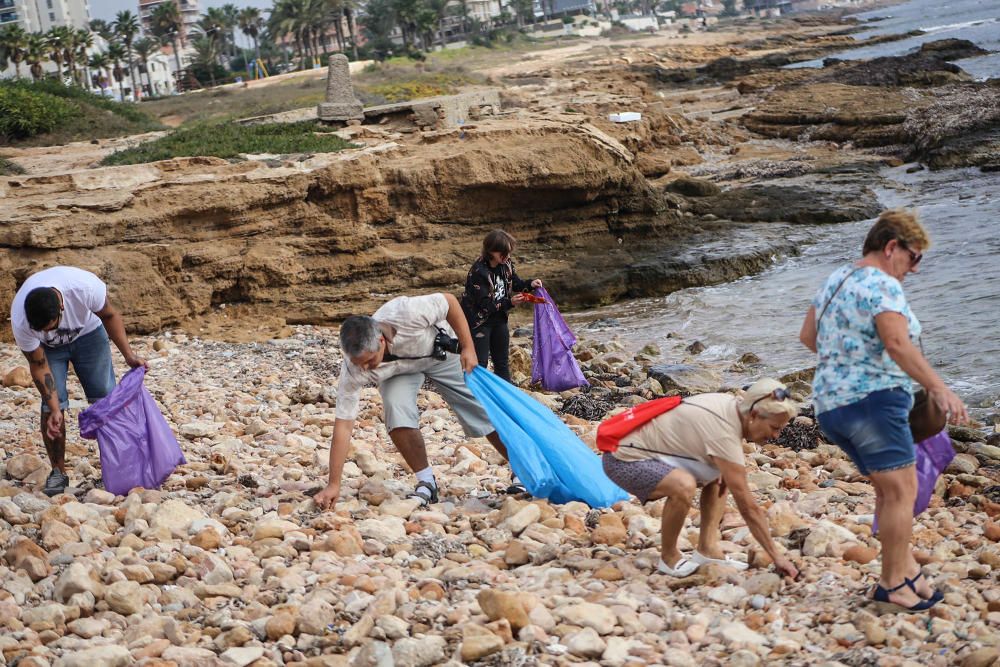 Limpieza del palmeral de Ferrís en Torrevieja