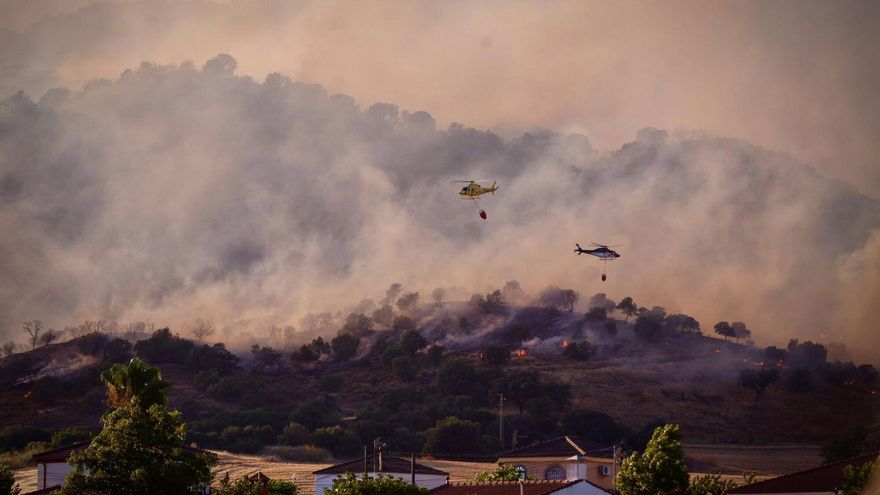 La UCO investiga cómo diseñar paisajes forestales que resistan mejor los incendios