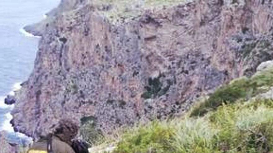 Agentes de Medio Ambiente rechazan que les conviertan en «cuerpo para recaudar» - Vimarsana News