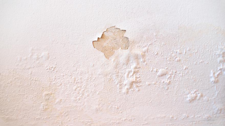 Adiós a la humedad de la pared sin pintar: las 20 gotas que la dejan como nueva
