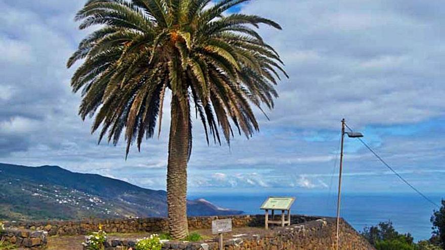 El mirador de La Tosca, en Barlovento. | | E.D.