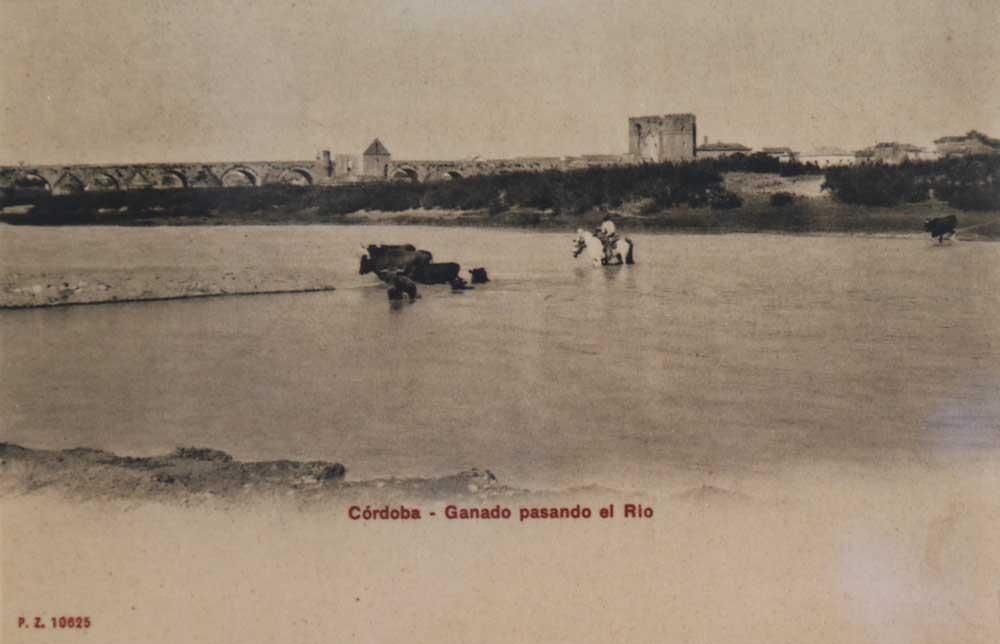 La Córdoba de 1904