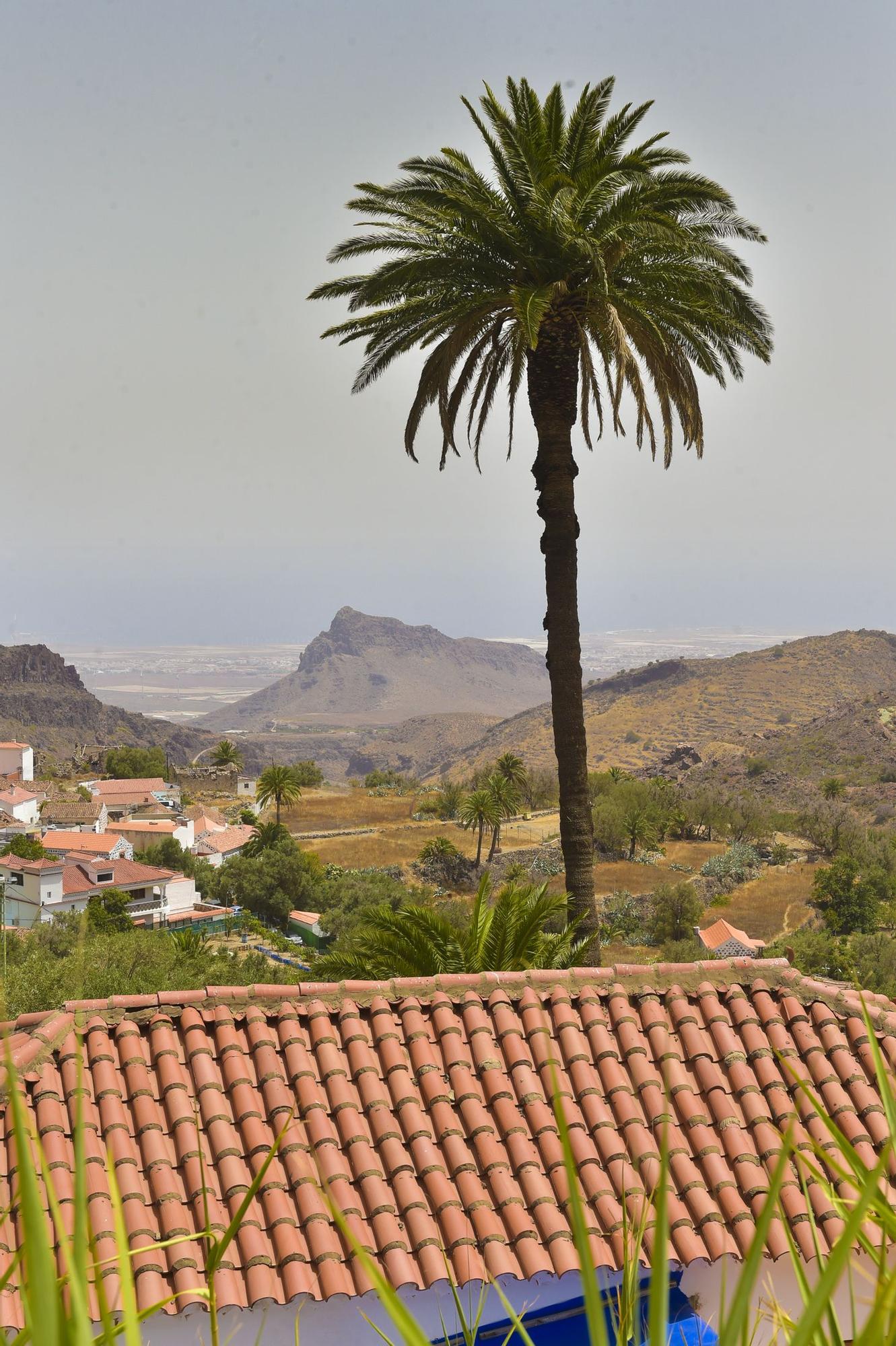 Tiempo en Gran Canaria (14/08/2021)