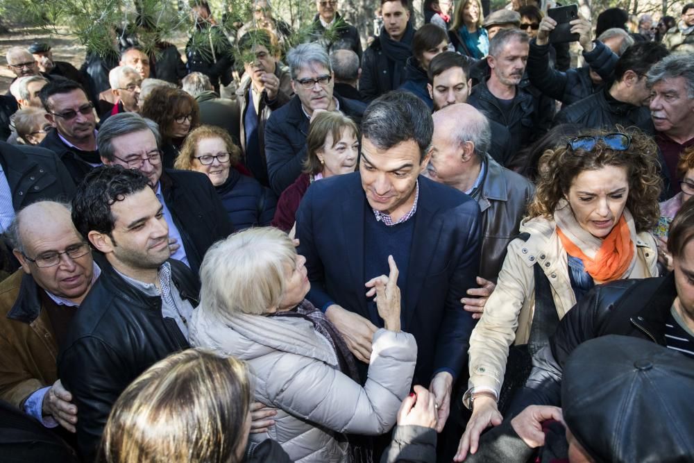 Pedro Sanchez presenta en Paterna la propuesta de Reforma de Ley de Memoria Histórica