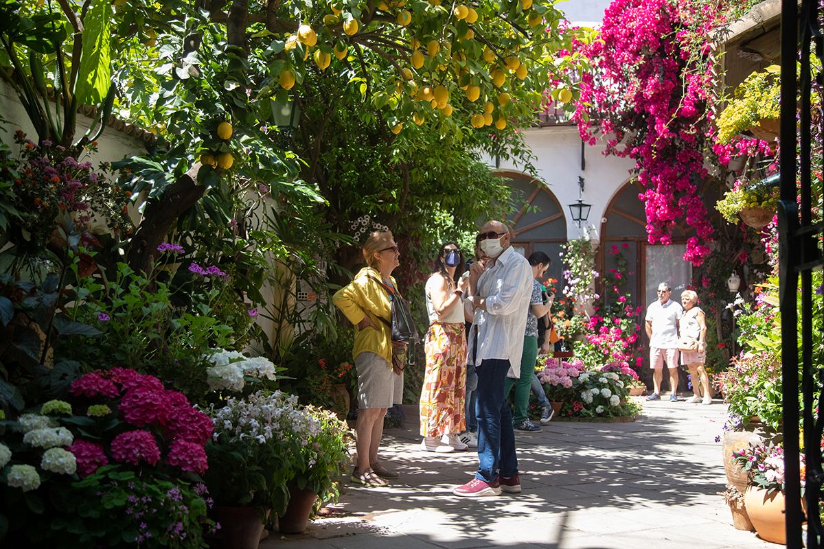 Patio, La Palma 3