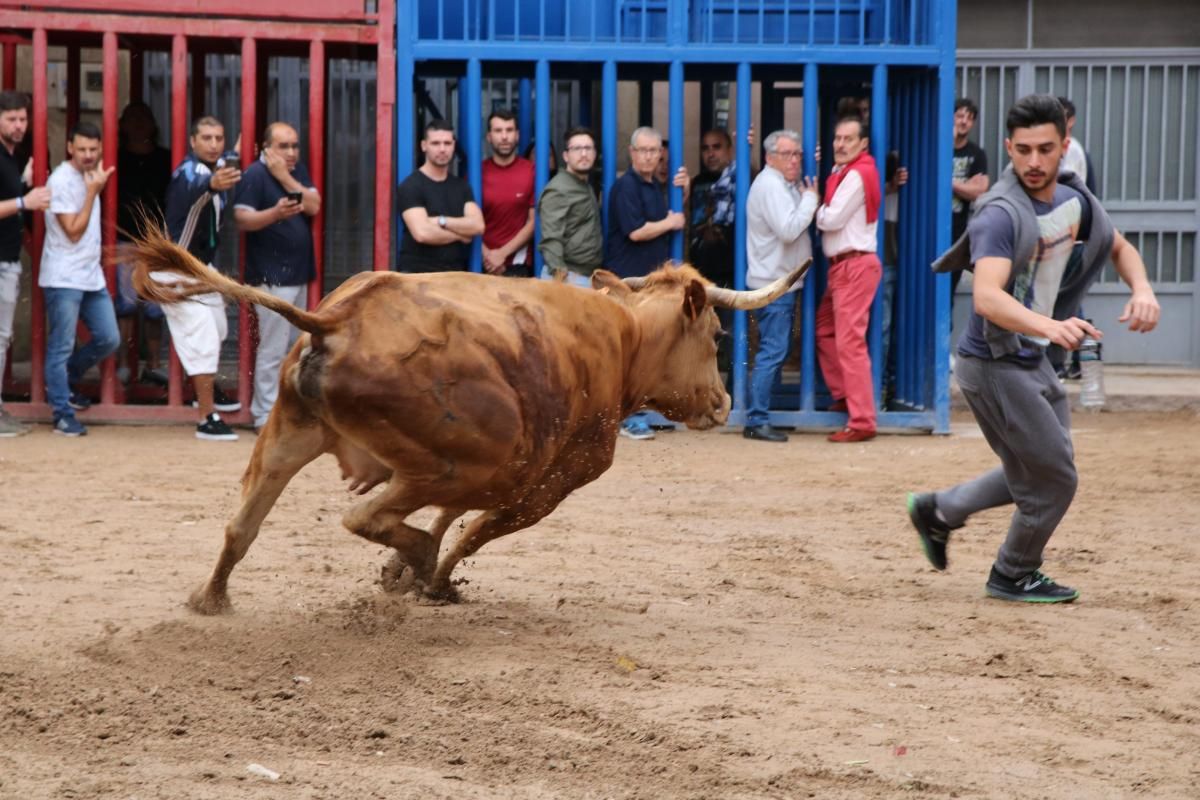 Fiestas patronales de Santa Quitèria de almassora III