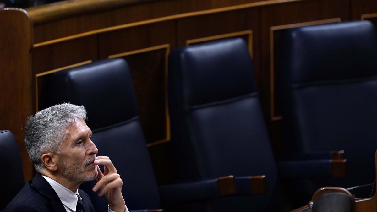 Fernando Grande-Marlaska   comparece en el congreso.