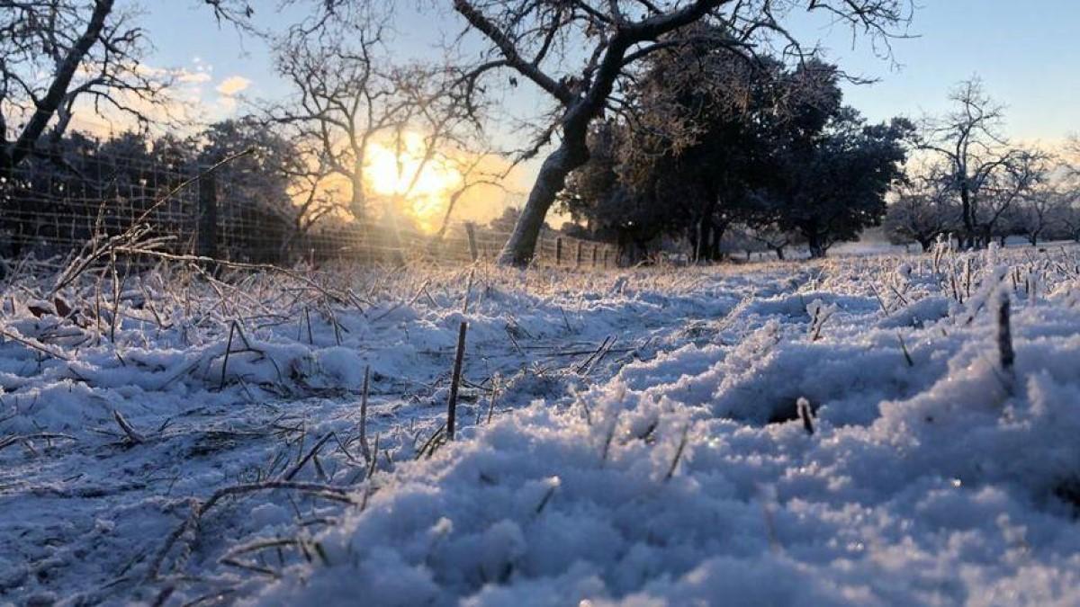 Nieve en Los Pedroches, en enero del 2021.