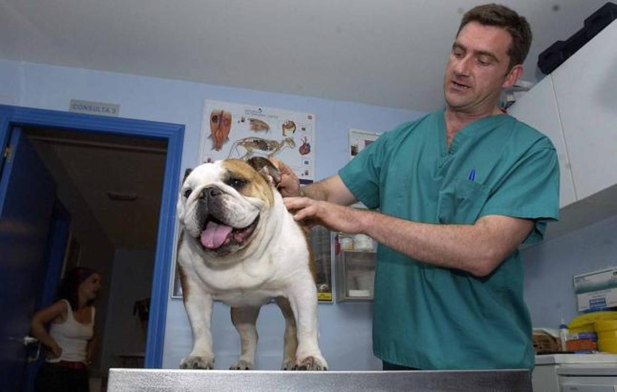 Víctor Mora es veterinario en la clínica "Cuatro Patas", en Vigo.