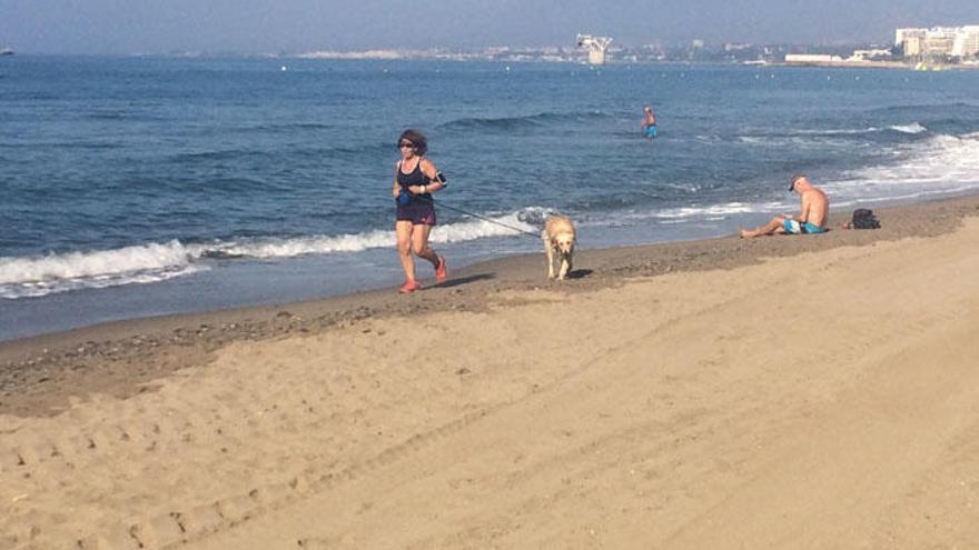 Una mujer pasea con su mascota por una playa de Marbella.