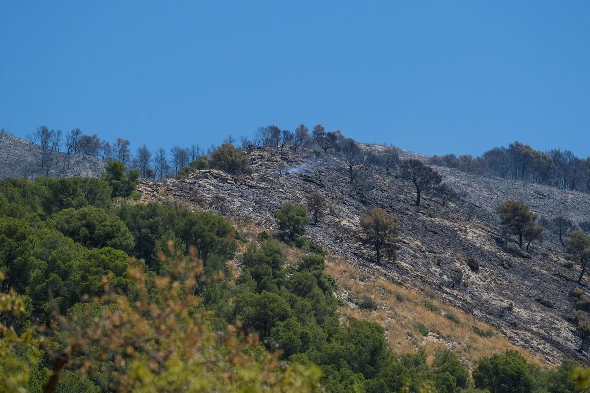 Vista de los daños producidos por el incendio forestal declarado en el paraje San Pascual de Ibi (Alicante), donde trabajan cinco medios aéreos.