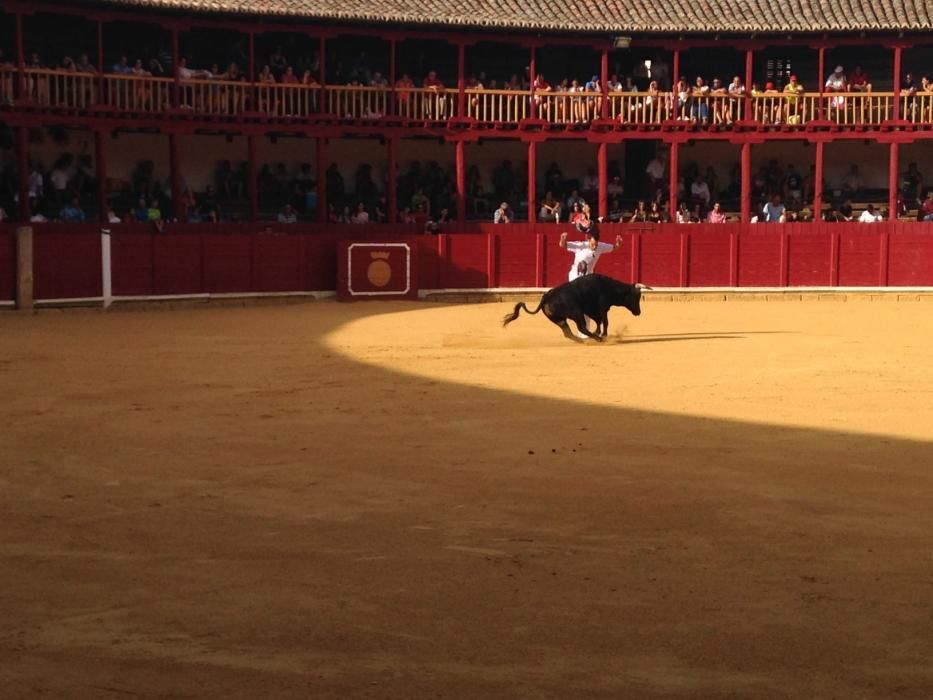 Fiestas Toro- concurso de jóvenes cortadores