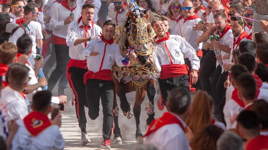 Los Caballos del Vino ya son Patrimonio de la Humanidad
