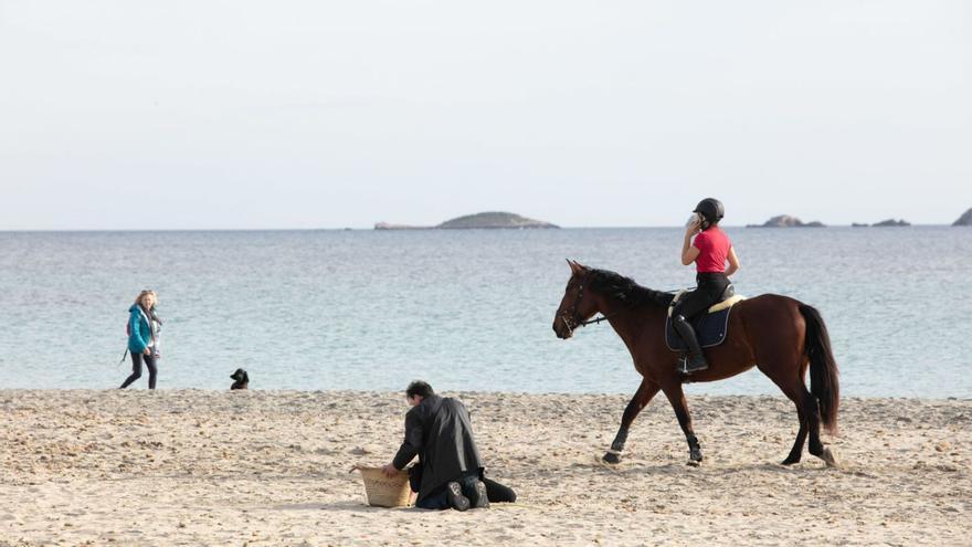 La amazona de Platja d’en Bossa | VICENT MARÍ