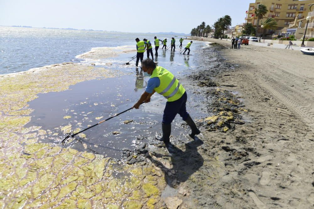 Limpieza del Mar Menor en Los Alcázares