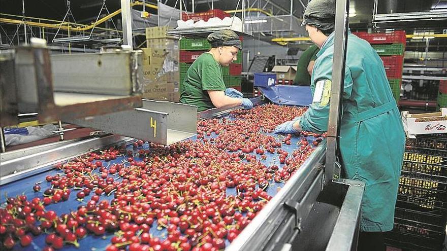 El Valle del Jerte se convierte en Destino Turístico Inteligente