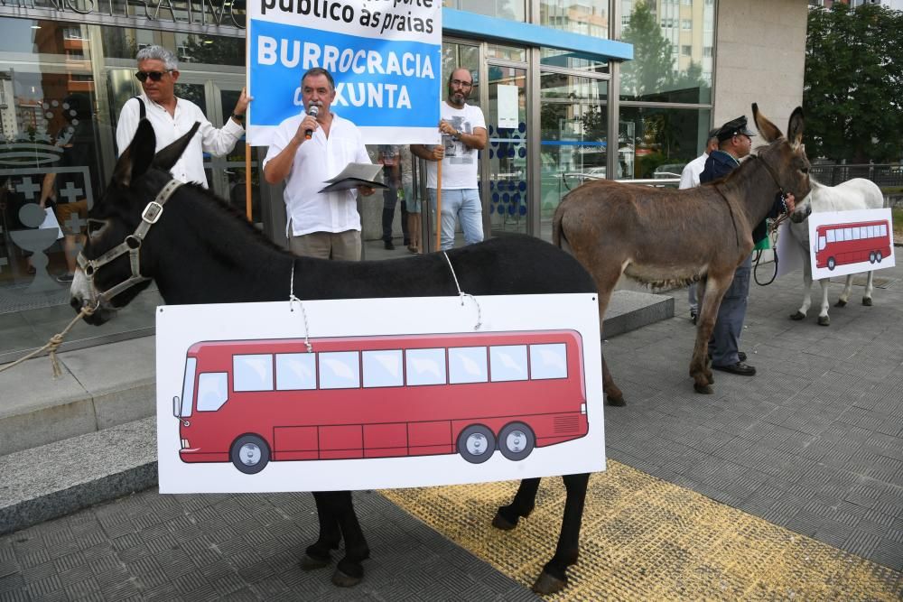 En burro a las playas de Oleiros