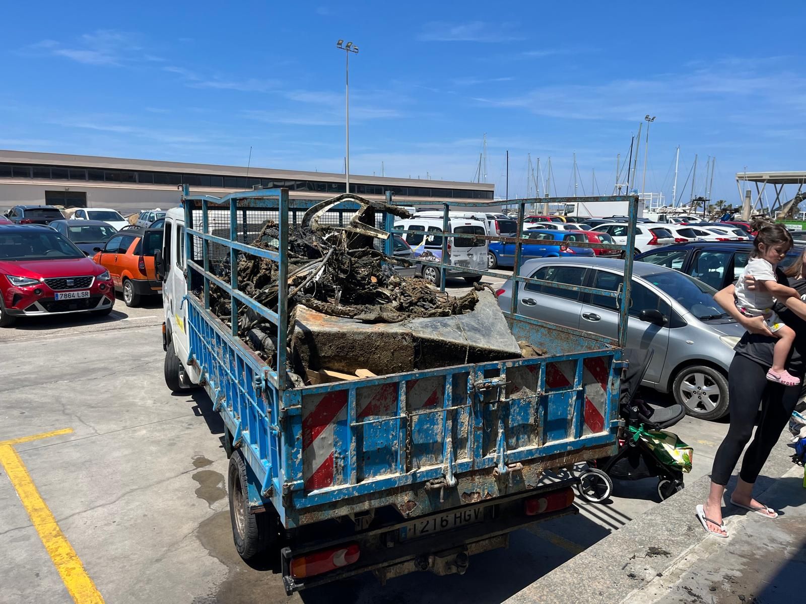 Las imágenes de la limpieza marina del puerto de Dénia