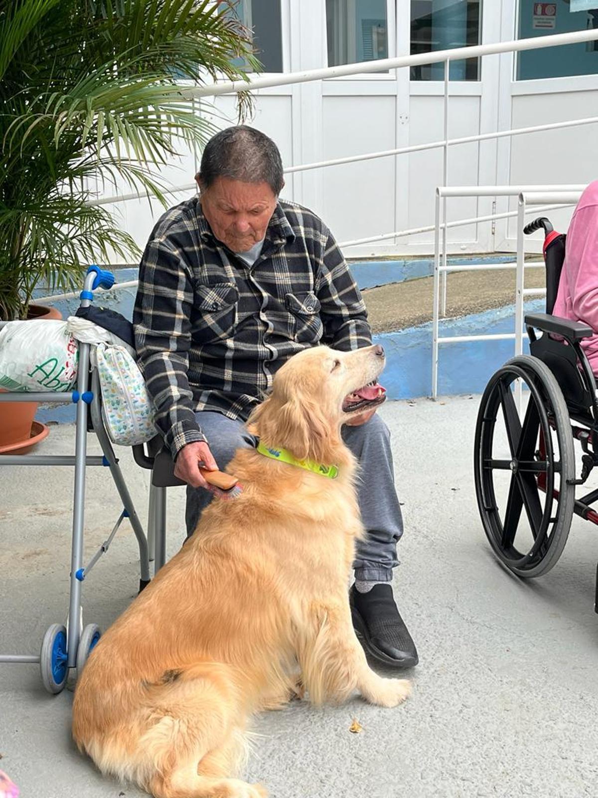 Ramón cepillando a la perra terapeuta