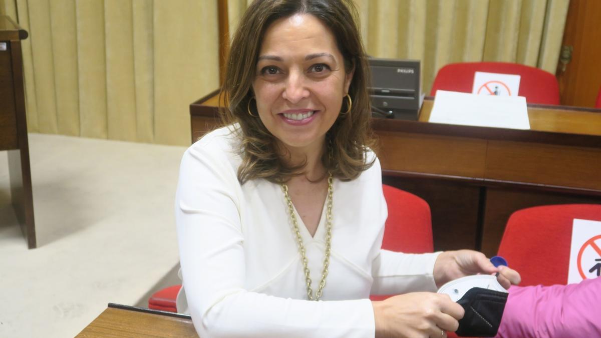 Isabel Ambrosio, portavoz del Grupo Socialista en el Ayuntamiento de Córdoba.