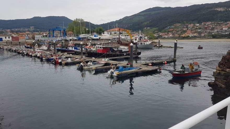 Solo una decena de los más de 80 barcos de bajura de Moaña sale a faenar para capturar choco. // G.N.