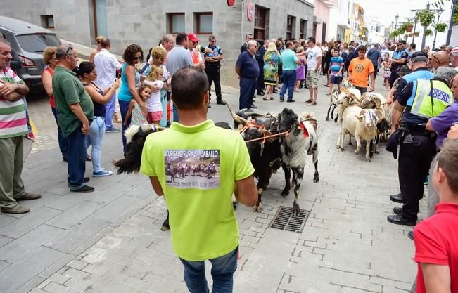 Fiestas de San ROQUE en Firgas