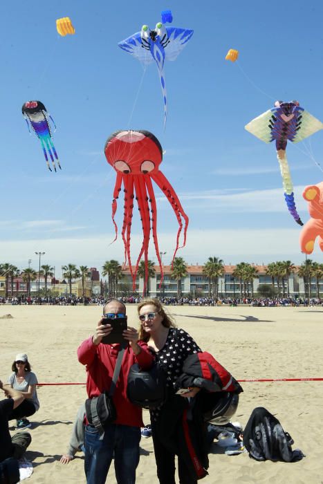 Festival del Viento 2016 en la Malva-rosa