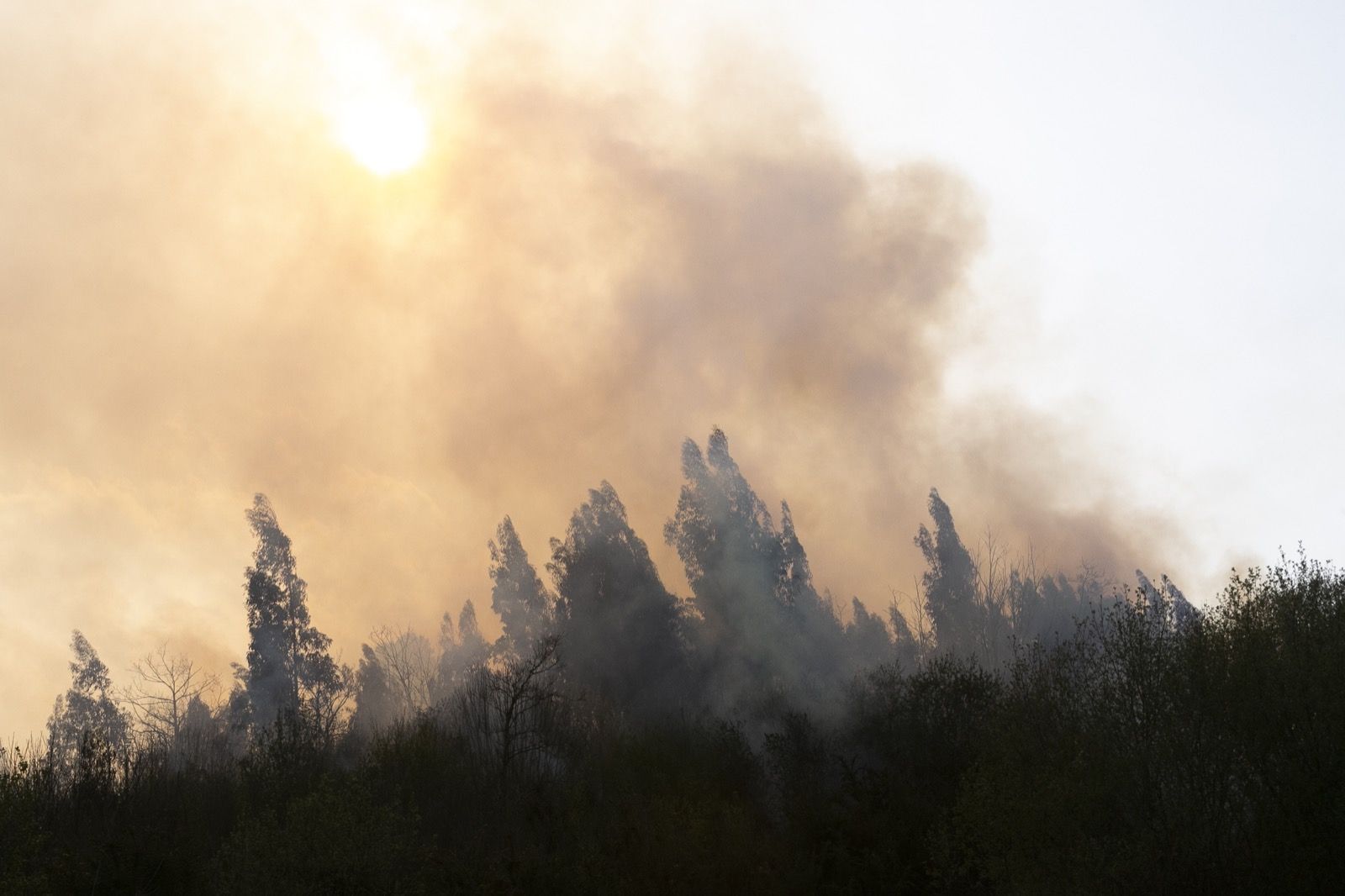 Imágenes del incendio de la Plata en Castrillón