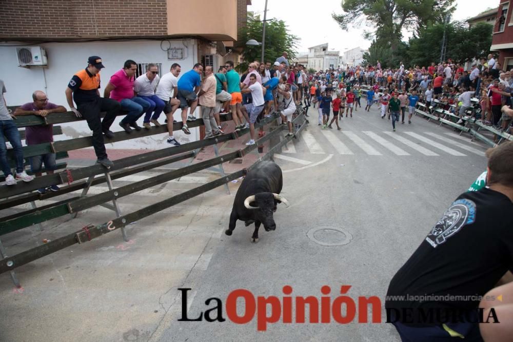 Quinto encierro en Calasparra