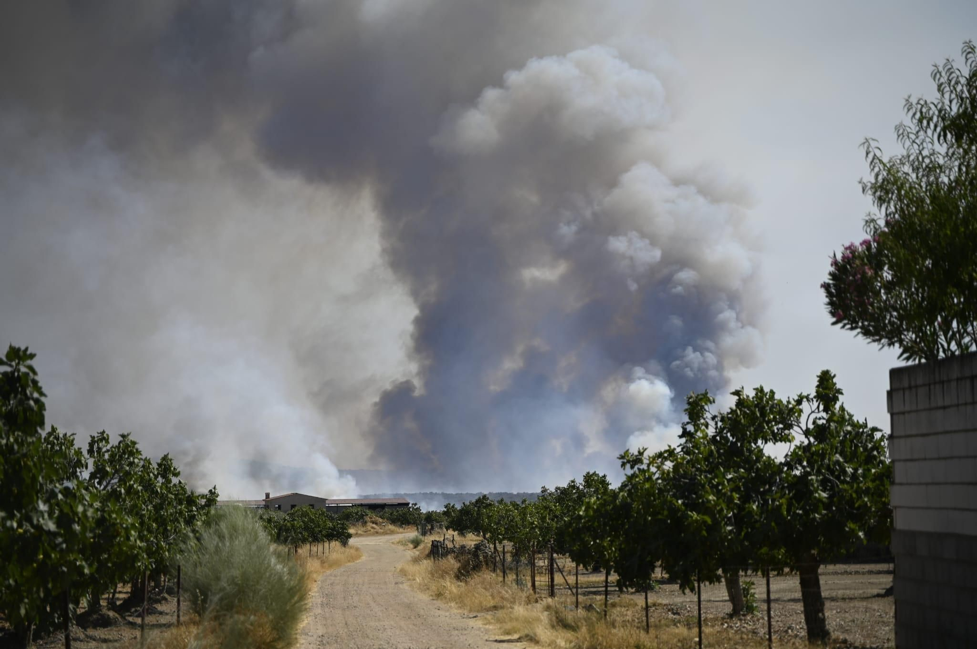 Así se está desarrollando el incendio de nivel 1 entre Arroyomolinos y Alcuéscar