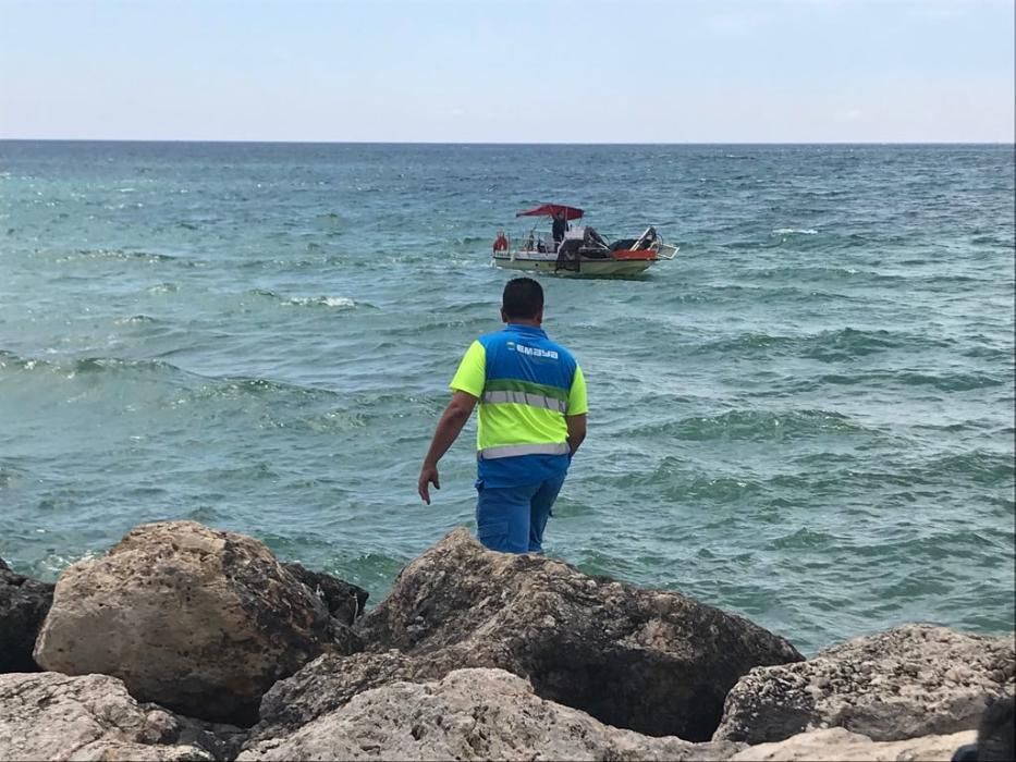 La carabela portuguesa llega a Mallorca: Operativo de limpieza tras encontrar un ejemplar en el Molinar