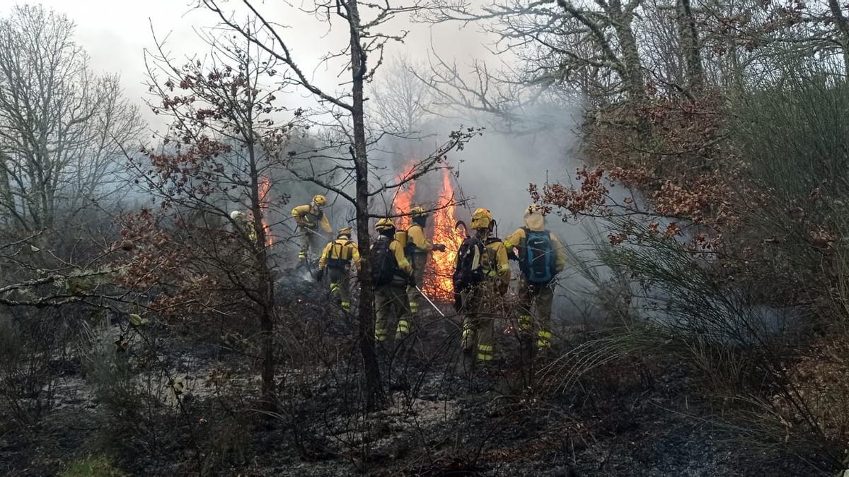 Bomberos se enfrentan a las llamas del incendio originado esta tarde en Ourense.