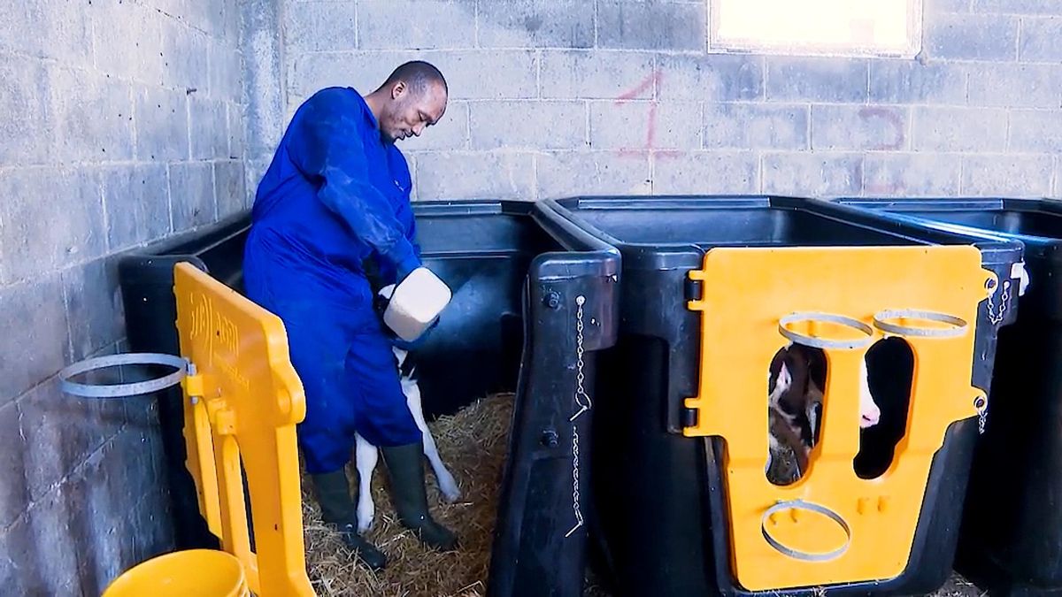 Amadi ya está trabajando en una granja gallega gracias a la formación ofrecida por Cruz Roja y Naturleite