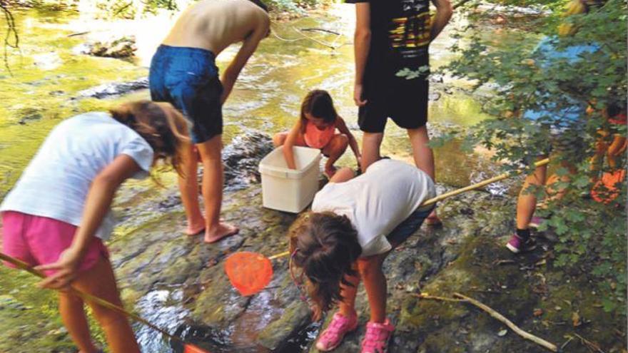 Infants i joves fent captures de cran americà a l&#039;estiu