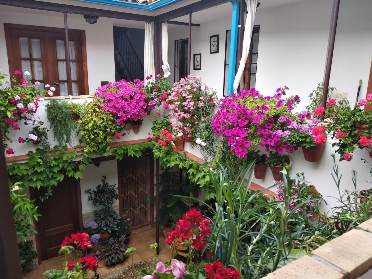 Los patios de Córdoba, San Lorenzo 2