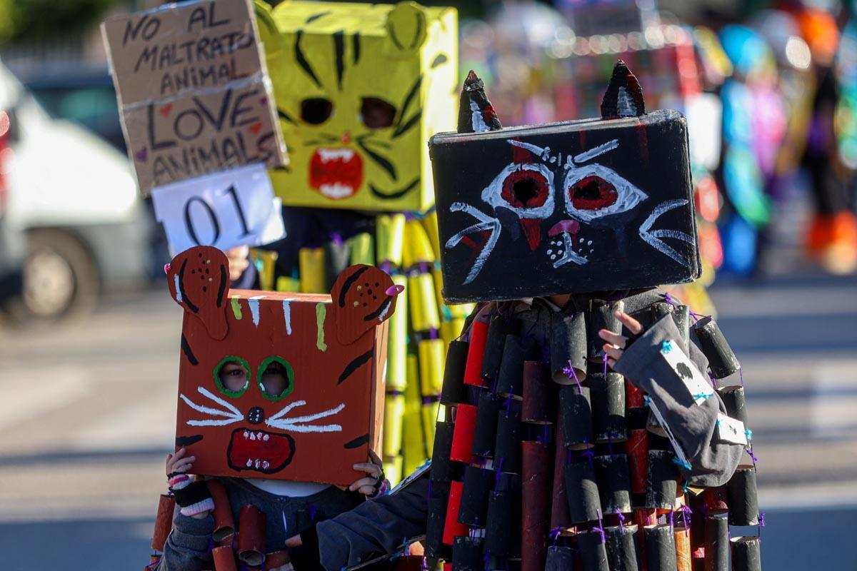 Mira aquí las imágenes del Carnaval de Santa Eulària