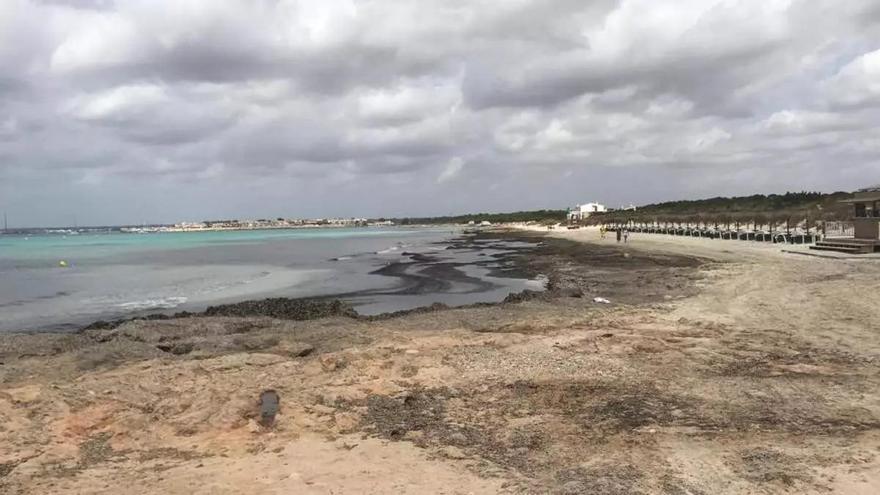 Leichenfund beim Baden im Meer vor Mallorca: Strandbesucher holen 85-Jährigen tot aus dem Wasser
