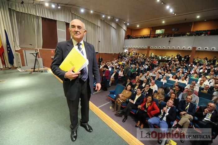 Somos Región celebra su Convención Constituyente