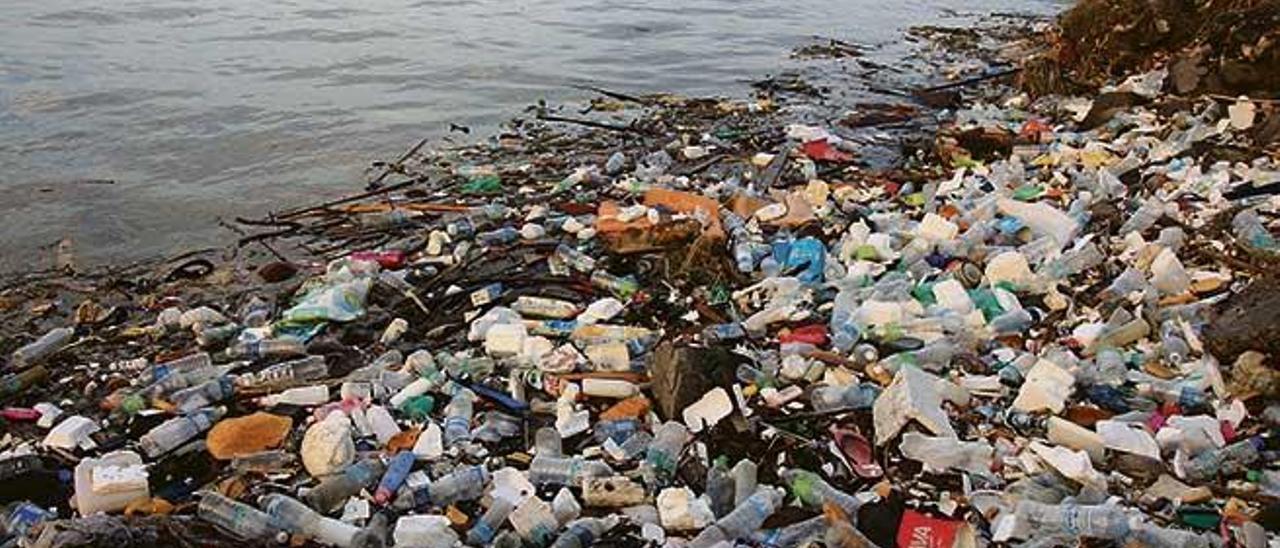 La basura marina llega a todos los rincones del planeta.