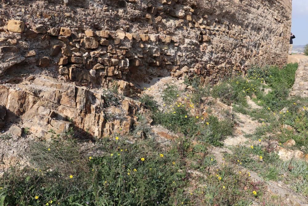 Los castillos de Larache y Cabezo de Torres "se hunden entre la inmundicia", denuncia Huermur