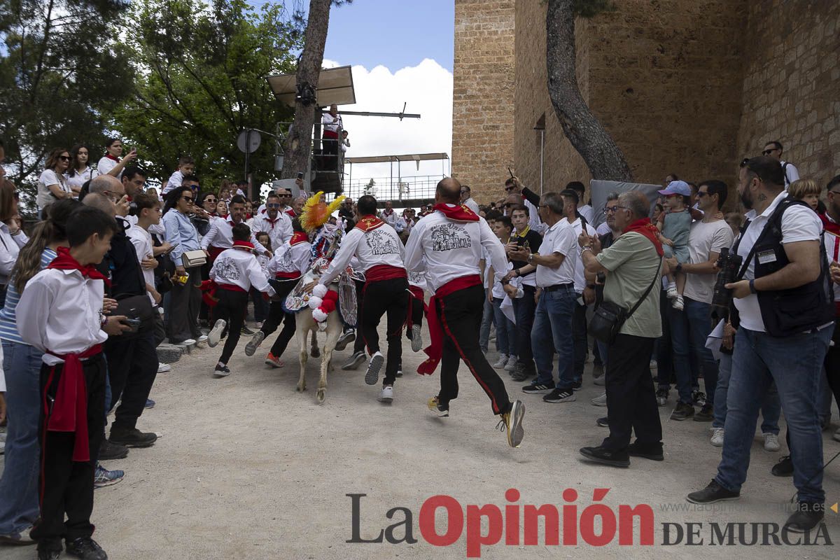 Fiestas de Caravaca | Desfile infantil del Bando de los Caballos del Vino