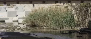 Nadie quiere limpiar el Barranco de las Ovejas en Alicante, una bomba de relojería ante una gota fría