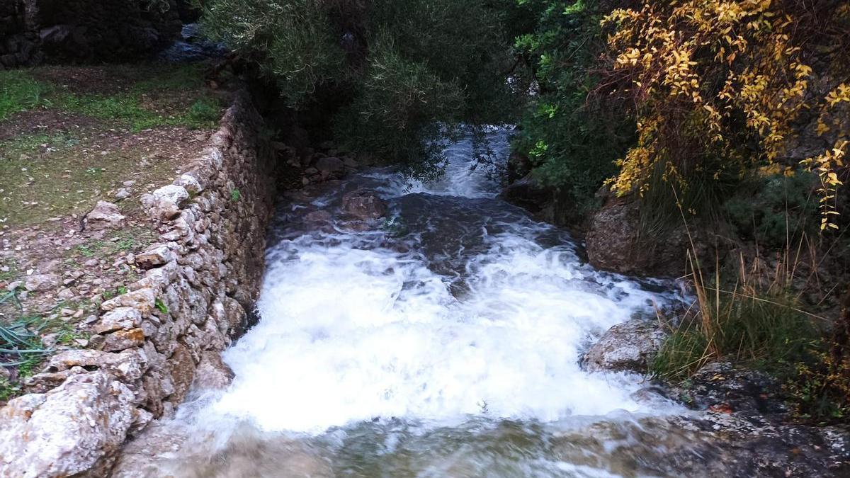 Una imagen de la fuerza con la que bajaba el agua en el torrente de l&#039;Assarell