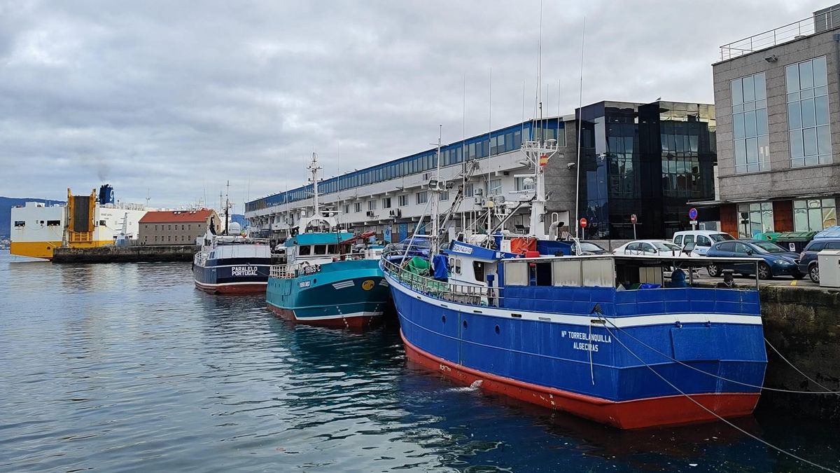 Barcos de pesca amarrados en O Berbés