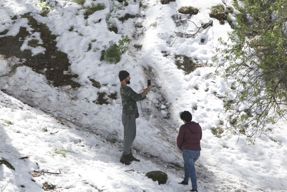 Miles de grancanarios suben a la Cumbre