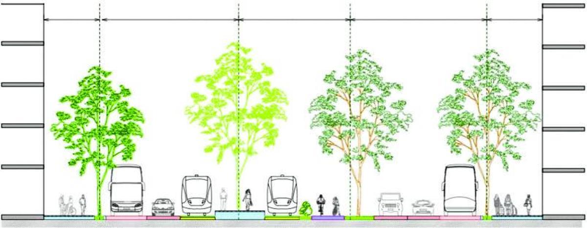 Cort propone un nuevo trazado del tranvía para salvar los árboles de Gabriel Alomar