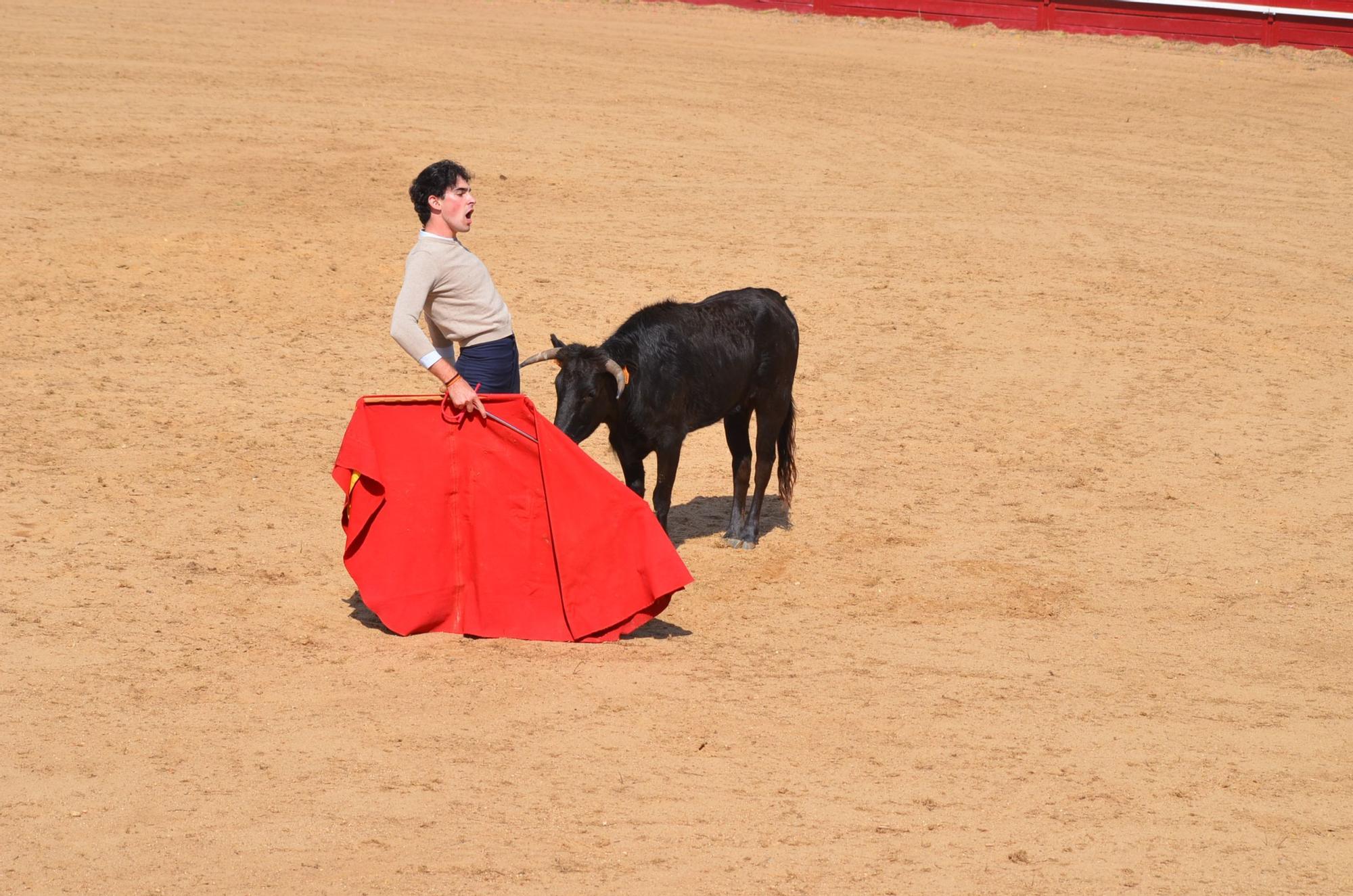 Fiestas del Toro en Benavente: El novillero Adrián Gabella y su arte con el capote