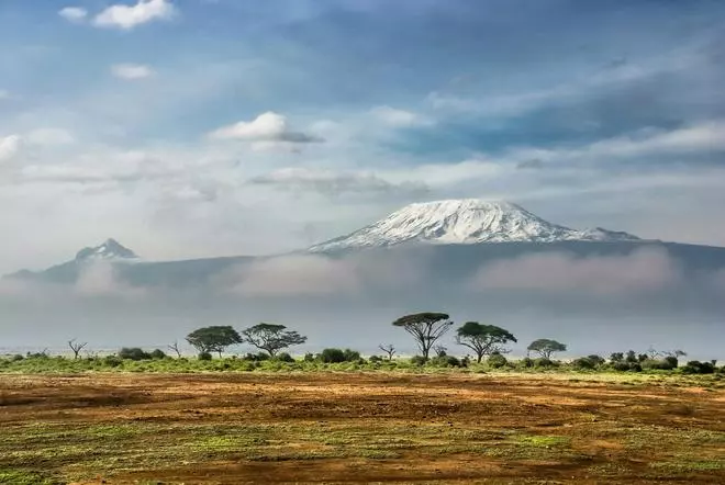 Uno de los safaris más fascinantes de África: leones en la sabana, elefantes frente al Kilimanjaro y la gran migración